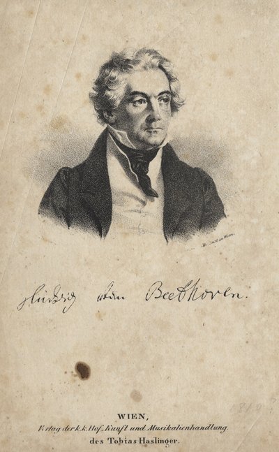 Ludwig von Beethoven by Austrian School